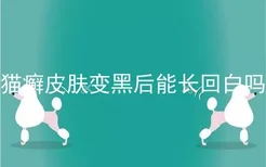 猫癣皮肤变黑后能长回白吗