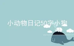 小动物日记50字小狗