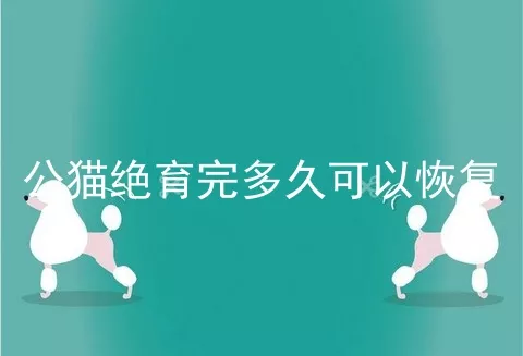 公猫绝育完多久可以恢复