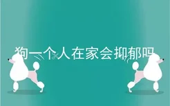 狗一个人在家会抑郁吗