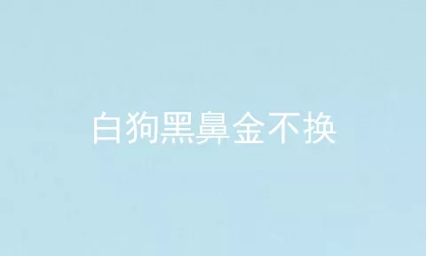 白狗黑鼻金不换