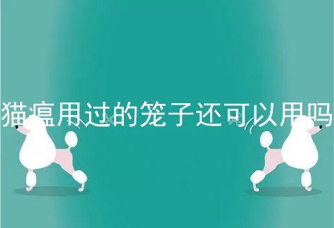 猫瘟用过的笼子还可以用吗