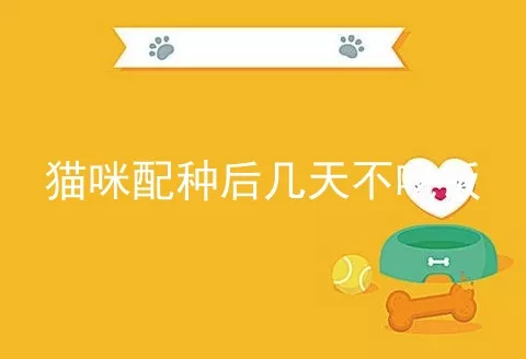 猫咪配种后几天不吃饭