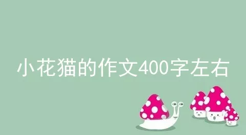 小花猫的作文400字左右