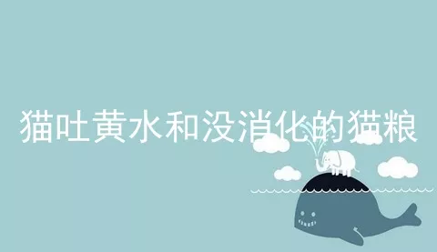 猫吐黄水和没消化的猫粮