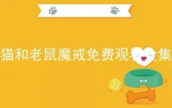 猫和老鼠魔戒免费观看全集