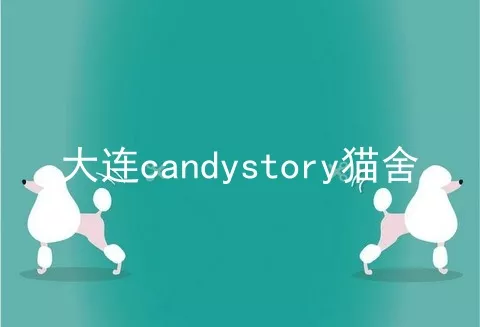 大连candystory猫舍