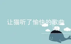 让猫听了愉快的歌曲