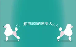 狗市500的博美犬