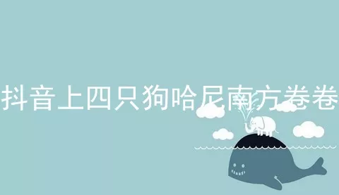 抖音上四只狗哈尼南方卷卷