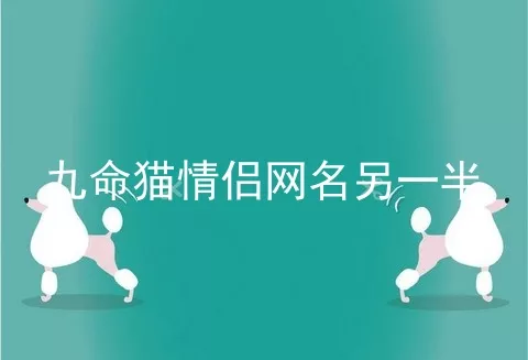 九命猫情侣网名另一半