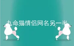 九命猫情侣网名另一半