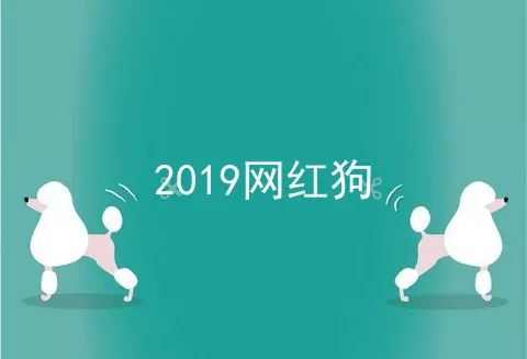 2019网红狗