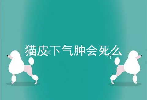 猫皮下气肿会死么