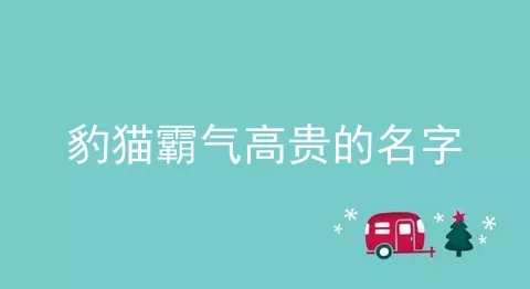 豹猫霸气高贵的名字