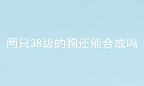 两只38级的狗还能合成吗