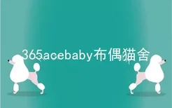 365acebaby布偶猫舍