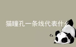 猫瞳孔一条线代表什么