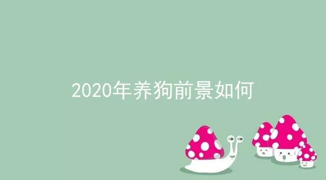 2020年养狗前景如何