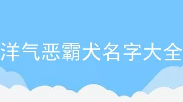 洋气恶霸犬名字大全