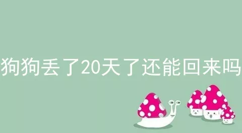 狗狗丢了20天了还能回来吗