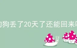 狗狗丢了20天了还能回来吗