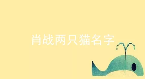 肖战两只猫名字