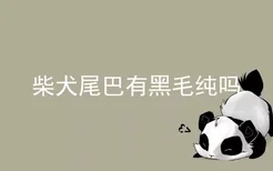 柴犬尾巴有黑毛纯吗