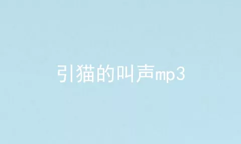 引猫的叫声mp3