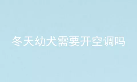 冬天幼犬需要开空调吗