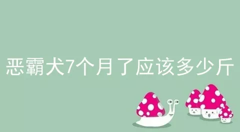 恶霸犬7个月了应该多少斤