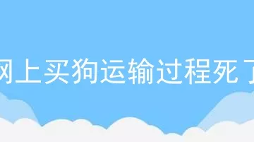 网上买狗运输过程死了