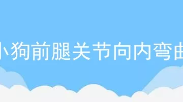 小狗前腿关节向内弯曲