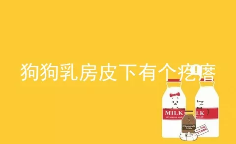 狗狗乳房皮下有个疙瘩