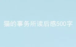 猫的事务所读后感500字