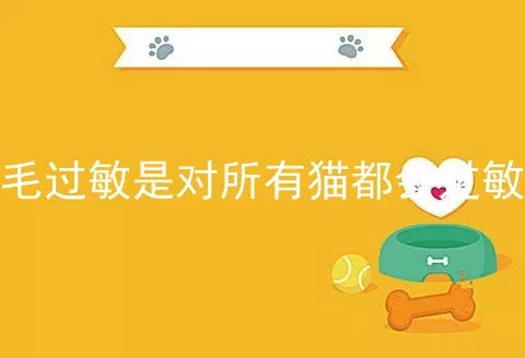 猫毛过敏是对所有猫都会过敏吗