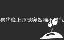 狗狗晚上睡觉突然喘不过气