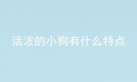 活泼的小狗有什么特点