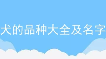 犬的品种大全及名字