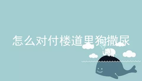 怎么对付楼道里狗撒尿