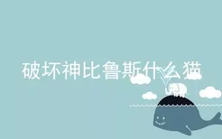 破坏神比鲁斯什么猫