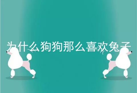 为什么狗狗那么喜欢兔子