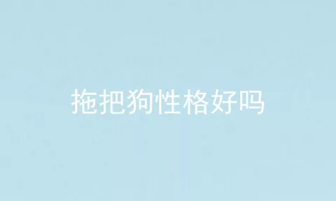 拖把狗性格好吗