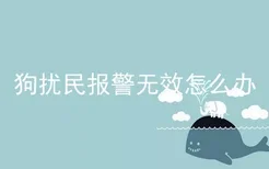 狗扰民报警无效怎么办