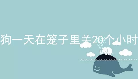 狗一天在笼子里关20个小时