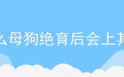 为什么母狗绝育后会上其他狗