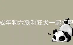 成年狗六联和狂犬一起打吗