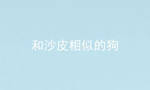 和沙皮相似的狗