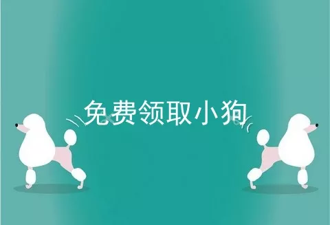 免费领取小狗