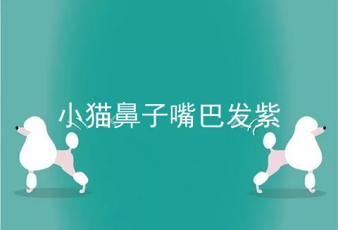 小猫鼻子嘴巴发紫